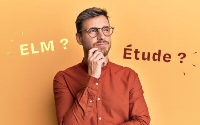 « Étude de marché » vs « État local de marché », bien faire la différence pour sécuriser son implantation